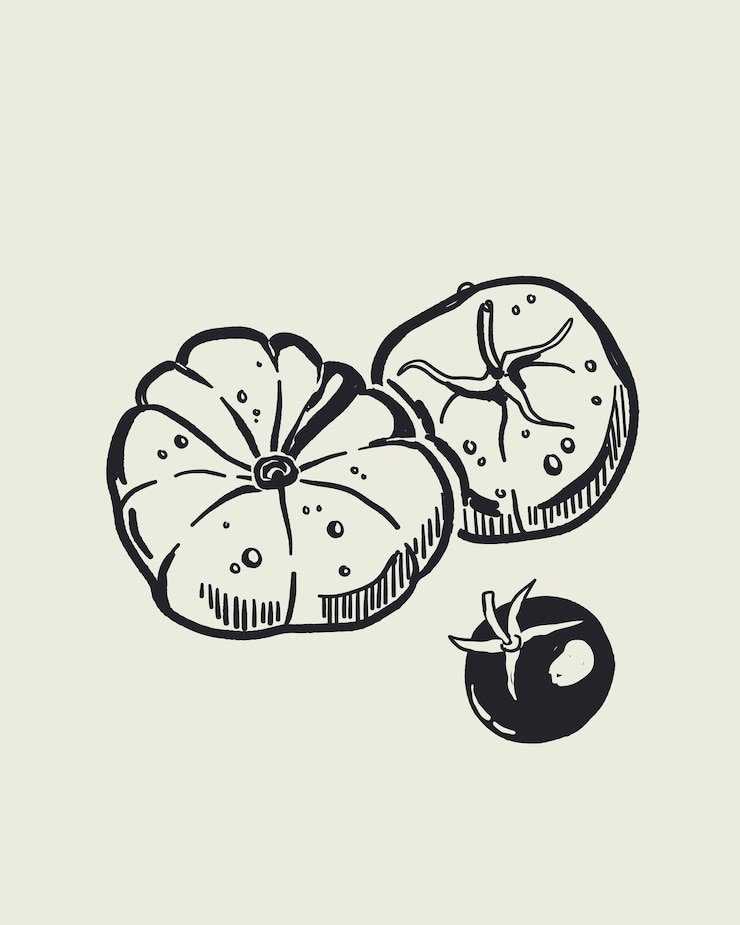 Vector italian cuisine and sea inspired illustrations with pasta seafood wine lemons shells herbs in doodle cartoon vector style mediterranean kitchen wall art prints in la dolce vita style