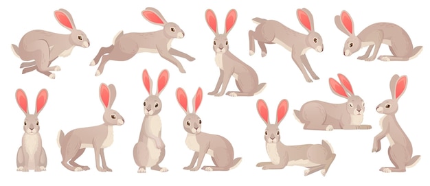 Jackrabbits Liebre salvaje conejo marrón esponjoso con orejas largas corriendo rápido liebre bosque mamífero bestia haring animales posar para dibujos animados de conejito de pascua ingeniosa ilustración vectorial