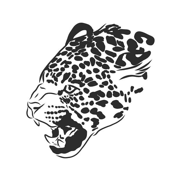 Jaguar. Ilustración de boceto dibujado a mano aislada sobre fondo blanco. retrato, de, un, jaguar, animal, vector, bosquejo, ilustración