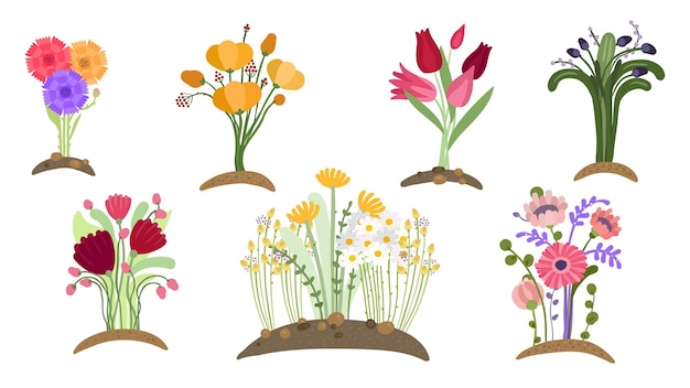 Jardín de flores del bosque. plantación de flores de primavera, jardinería sencilla. campos de flores, ramos Jardín de flores del bosque. plantación de flores de primavera, jardinería sencilla. campos de flores, ramos