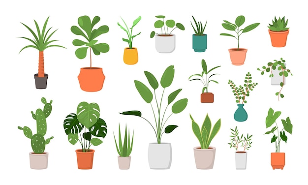 Jardín de paisajes interiores y exteriores Plantas en maceta aisladas en blanco Planta verde en maceta Ilustración de la floración en maceta