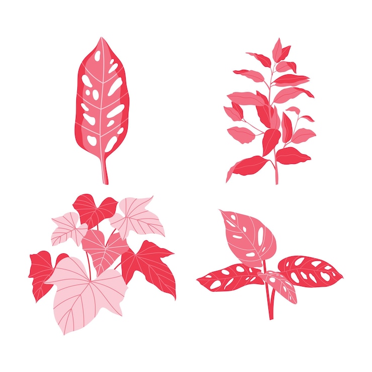 Vector jardín sólido y limpio de palmeras botánicas de forma audaz