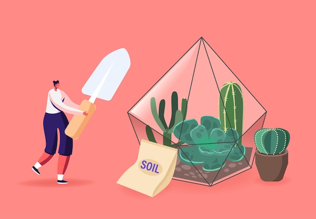 Jardinería doméstica, cultivo de plantas en la ilustración del terrario