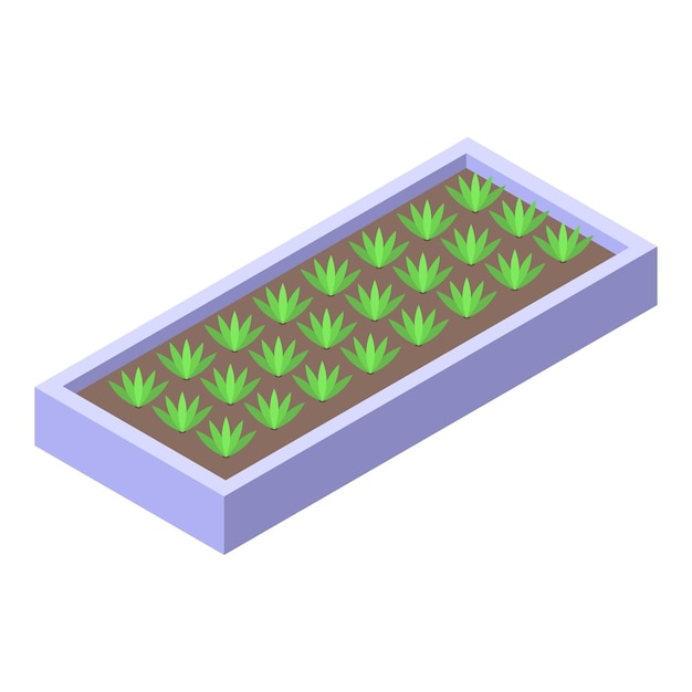 Jardinería en el hogar cultivo de plantas en lecho elevado vista isométrica
