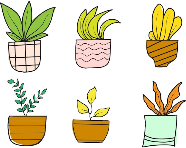 Jardinería en macetas