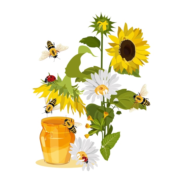 Jarro de miel con con manzanillas girasoles mariquitas y abejas en un fondo aislado