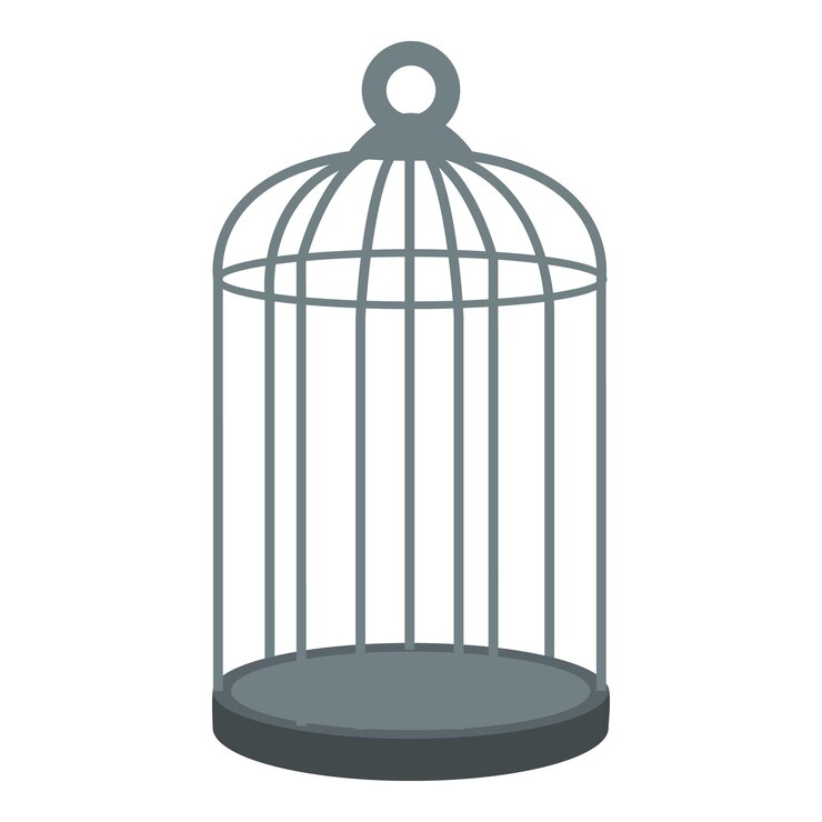 Una jaula de pájaros vacía de pie sobre un fondo blanco