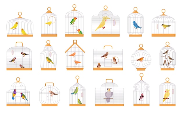 Vector jaulas de pájaros de dibujos animados pájaros exóticos jaulas de alambre de hierro pájaros decorativos loros pinzón lindo periquito canario y cactus conjunto de ilustración vectorial plano pájaros domésticos sentados en jaulas