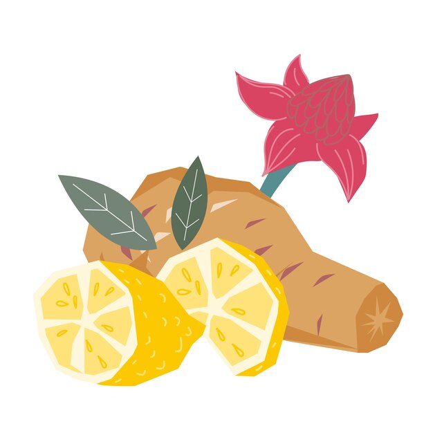 Jengibre con mezcla de sabor a limón e ingredientes Ilustración vectorial aislada en blanco