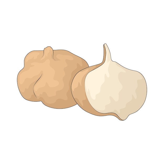 Jicama y sus derivados