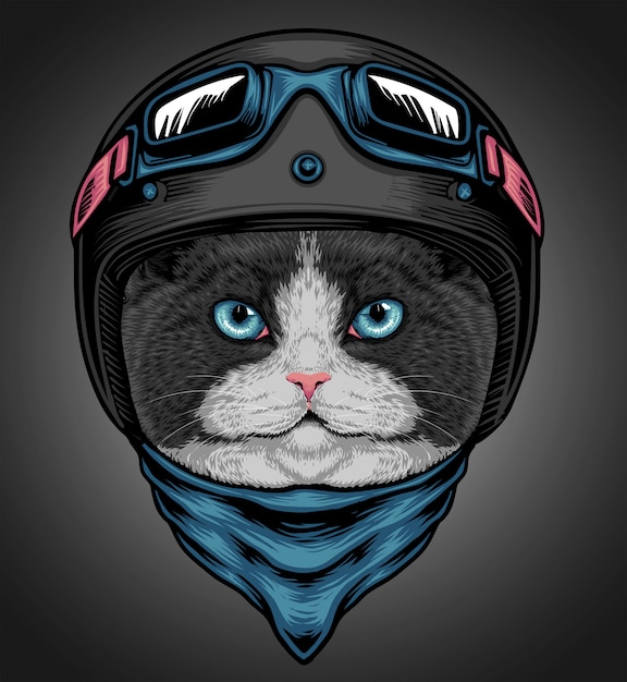 Vector jinete de gato