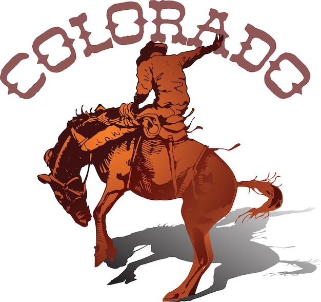 jinete vaquero de Colorado montando un mustang salvaje