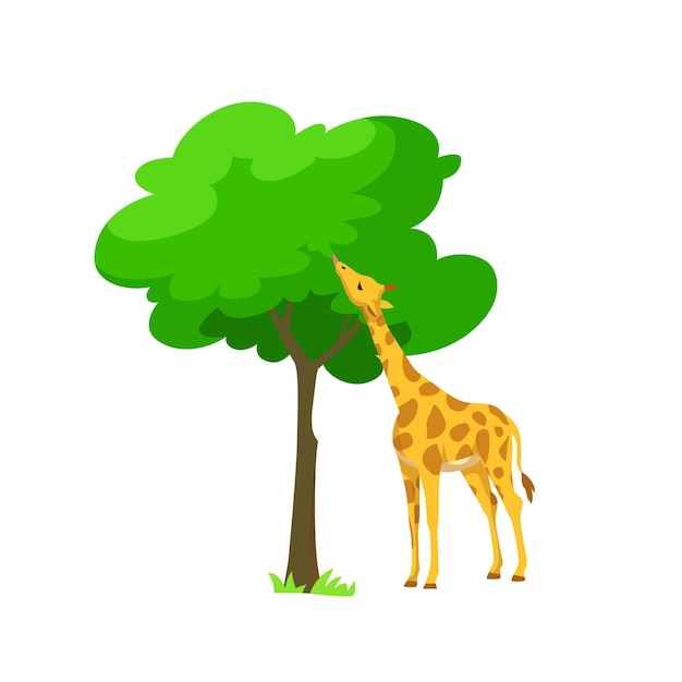 una jirafa está de pie bajo un árbol y un dibujo de una jirafa