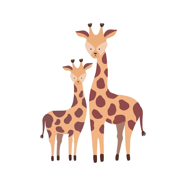 Jirafa con ternero aislado sobre fondo blanco. Familia de lindos animales herbívoros de la sabana africana salvaje. Padre con hijo o descendencia, madre y bebé. Ilustración de vector infantil de dibujos animados plana.