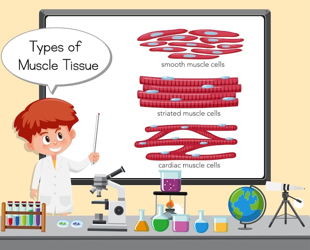 Joven científico explicando los tipos de tejido muscular frente a un tablero con elementos de laboratorio