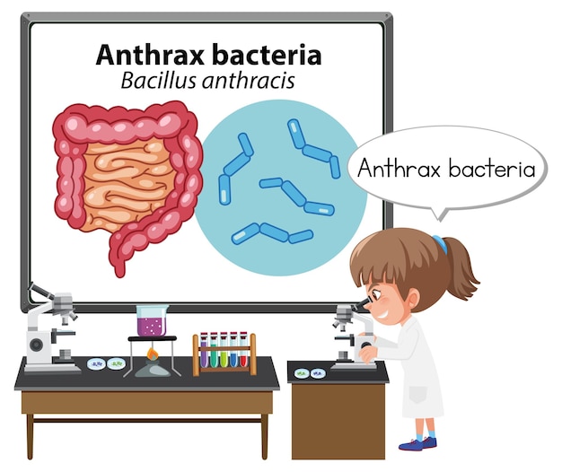 Vector joven médico explicando la bacteria del ántrax