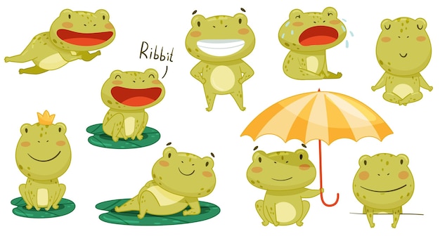 El juego de actividades de ranas lindas es un personaje de sapo anfibio divertido verde que sonríe, salta y cuca. Ilustración vectorial de dibujos animados