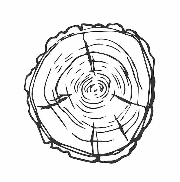 Juego de anillos de árbol Tronco cortado con sierra con grietas y líneas negras Textura de madera Ilustración vectorial