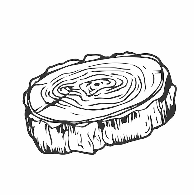 Juego de anillos de árbol Tronco cortado con sierra con grietas y líneas negras Textura de madera Ilustración vectorial