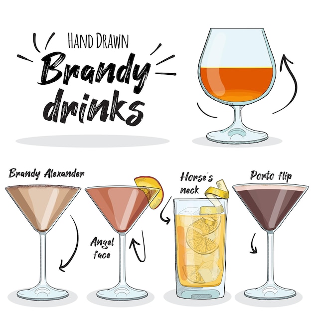 Juego de bebidas de brandy coloridas dibujadas a mano Brandy Alexander Cara de ángel Porto flip Caballos cuello