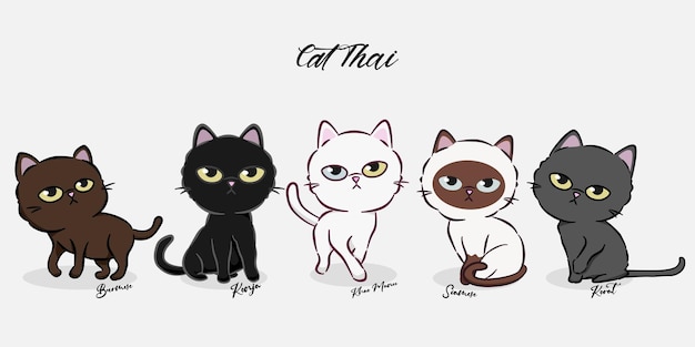 Juego de dibujos animados de gatos tailandeses. esta colección de cinco razas de gatos, los gatos más hermosos de tailandia.