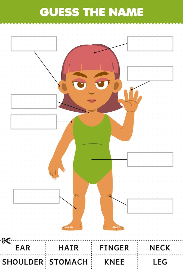 Vector juego educativo para niños adivinar el nombre de la hoja de trabajo de anatomía de la parte del cuerpo del niño de dibujos animados lindo