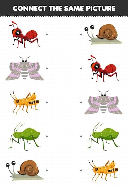 Juego educativo para niños conecta la misma imagen de la hoja de trabajo imprimible del insecto del caracol del saltamontes de la polilla de la hormiga linda de la historieta