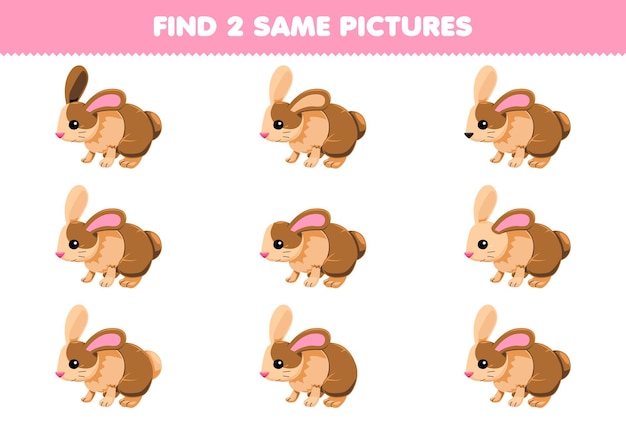 Juego educativo para niños encontrar dos imágenes iguales de conejo lindo hoja de trabajo de mascotas imprimible