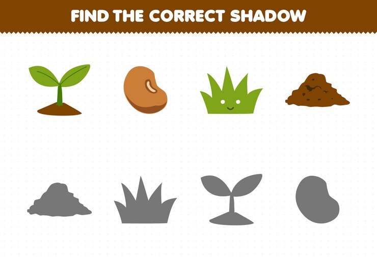 Vector el juego educativo para niños encuentra el conjunto de sombras correcto de la hoja de trabajo de naturaleza imprimible del suelo de hierba de semilla de frijol de dibujos animados lindo