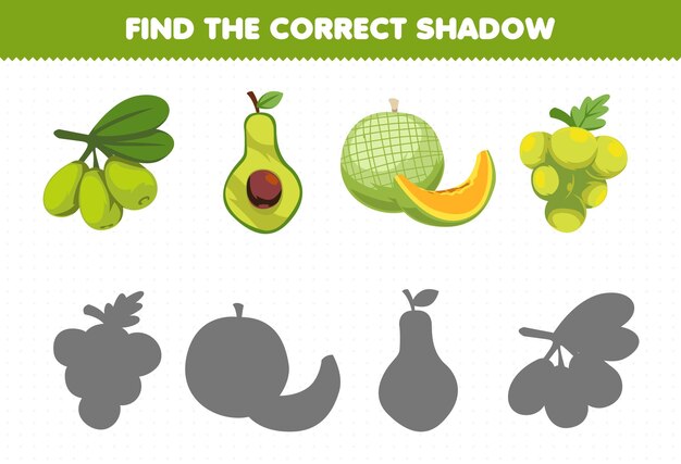 El juego educativo para niños encuentra el juego de sombras correcto de frutas verdes de dibujos animados, aceituna, aguacate, melón, uva