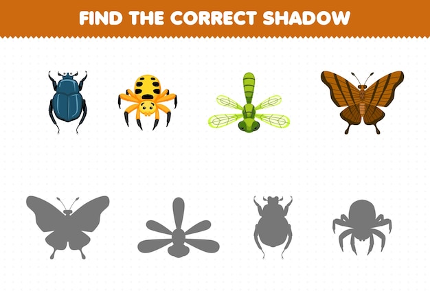El juego educativo para niños encuentra el juego de sombras correcto de la hoja de trabajo de error imprimible de la mariposa de la libélula de la araña del escarabajo de dibujos animados lindo