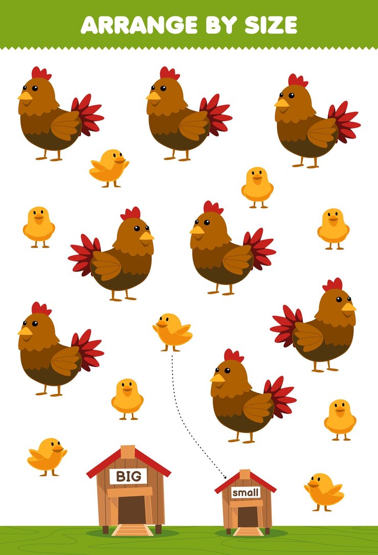 Vector juego educativo para niños organizar por tamaño grande o pequeño ponerlo en el gallinero de la linda hoja de trabajo imprimible de granja de pollo de dibujos animados