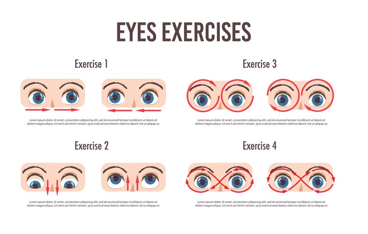 Vector juego de ejercicios para los ojos. movimiento para la relajación de los ojos. globo ocular, pestañas y cejas. mirando en varias direcciones. ilustración aislada