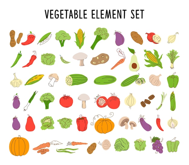 Juego de elementos vegetales para colorear. Dibujado a mano ilustraciones vegetales comida saludable estilo plano