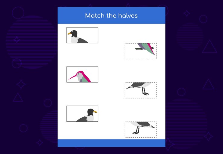 Vector juego de emparejar unir mitades de pájaros juego educativo para niños ficha imprimible
