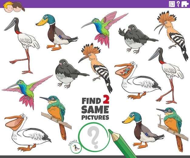 juego de encontrar dos imágenes iguales con personajes de animales de pájaros cómicos