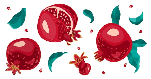 Vector juego de frutas de granada. ilustración aislada.