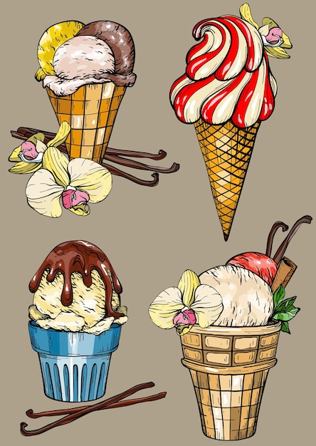 Vector juego de helado con vainas de vainilla y flor.