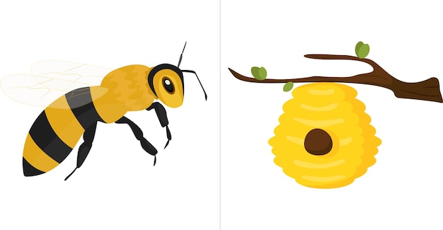 juego infantil adivina dónde está la casa de quién tarjetas desarrollo infantil quién vive en la casa bee w