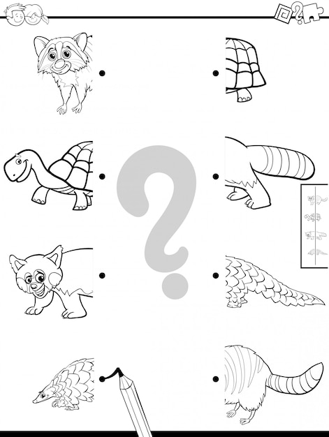 Juego de mitades a juego Libro de colores
