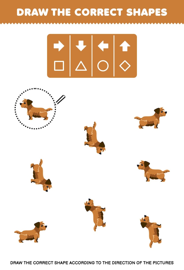 Vector juego para niños dibujar la forma correcta de acuerdo con la dirección de una hoja de trabajo de mascotas de perro lindo