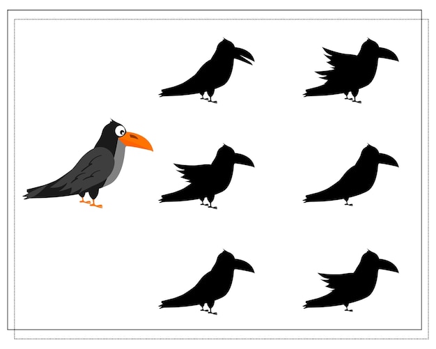 Juego para niños encontrar el vector de Halloween de sombra de cuervo derecho aislado en un fondo blanco