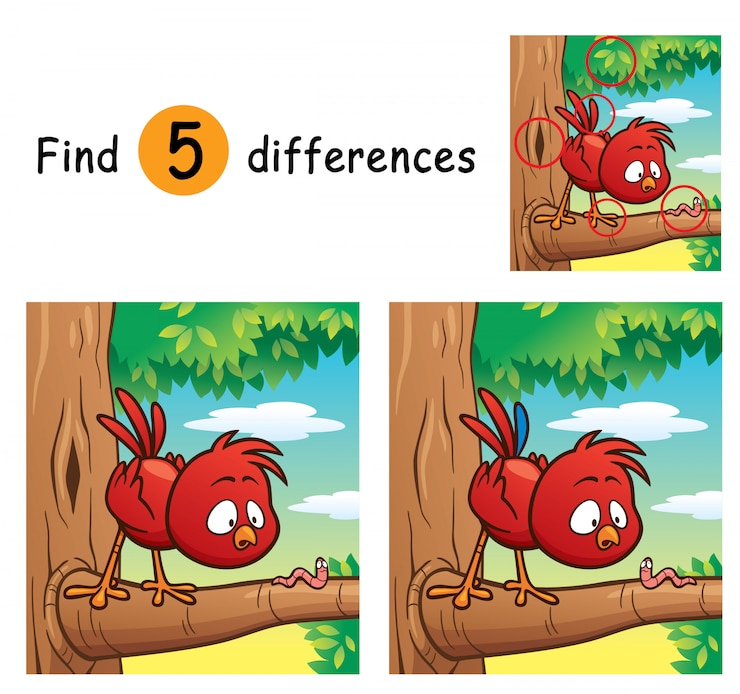 Vector juego para niños encuentra diferencias