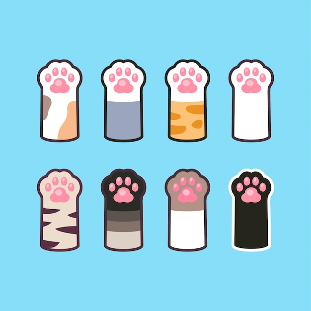 Juego de pata de gato y perro