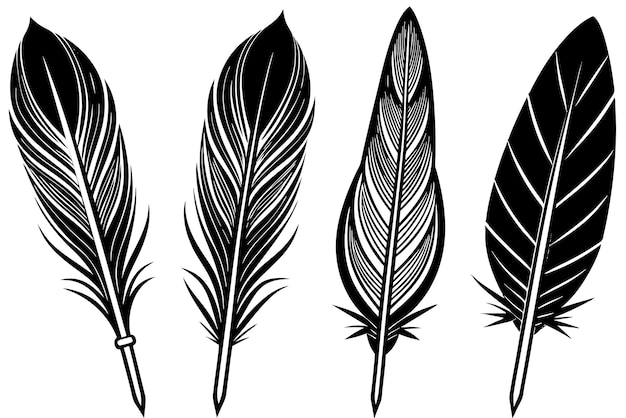 un juego de plumas con una pluma y una espada