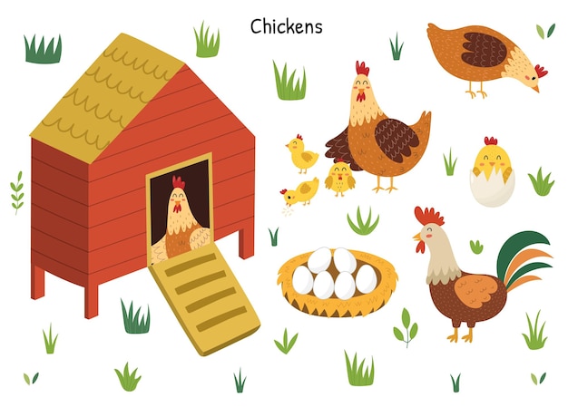 Juego de pollo con una linda gallina gallo pollitos y huevos Gallinero con un pájaro adentro