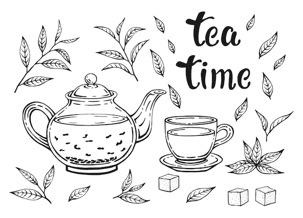 Vector juego de té aislado sobre fondo blanco deja tetera y taza ilustración vectorial dibujada a mano en estilo de esquema