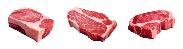 Juego de vectores de estaca de carne cruda