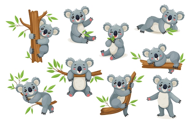 El juego de vectores de personajes de dibujos animados divertidos de osos koala