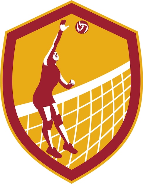 El jugador de voleibol Spike Ball Net Retro Shield
